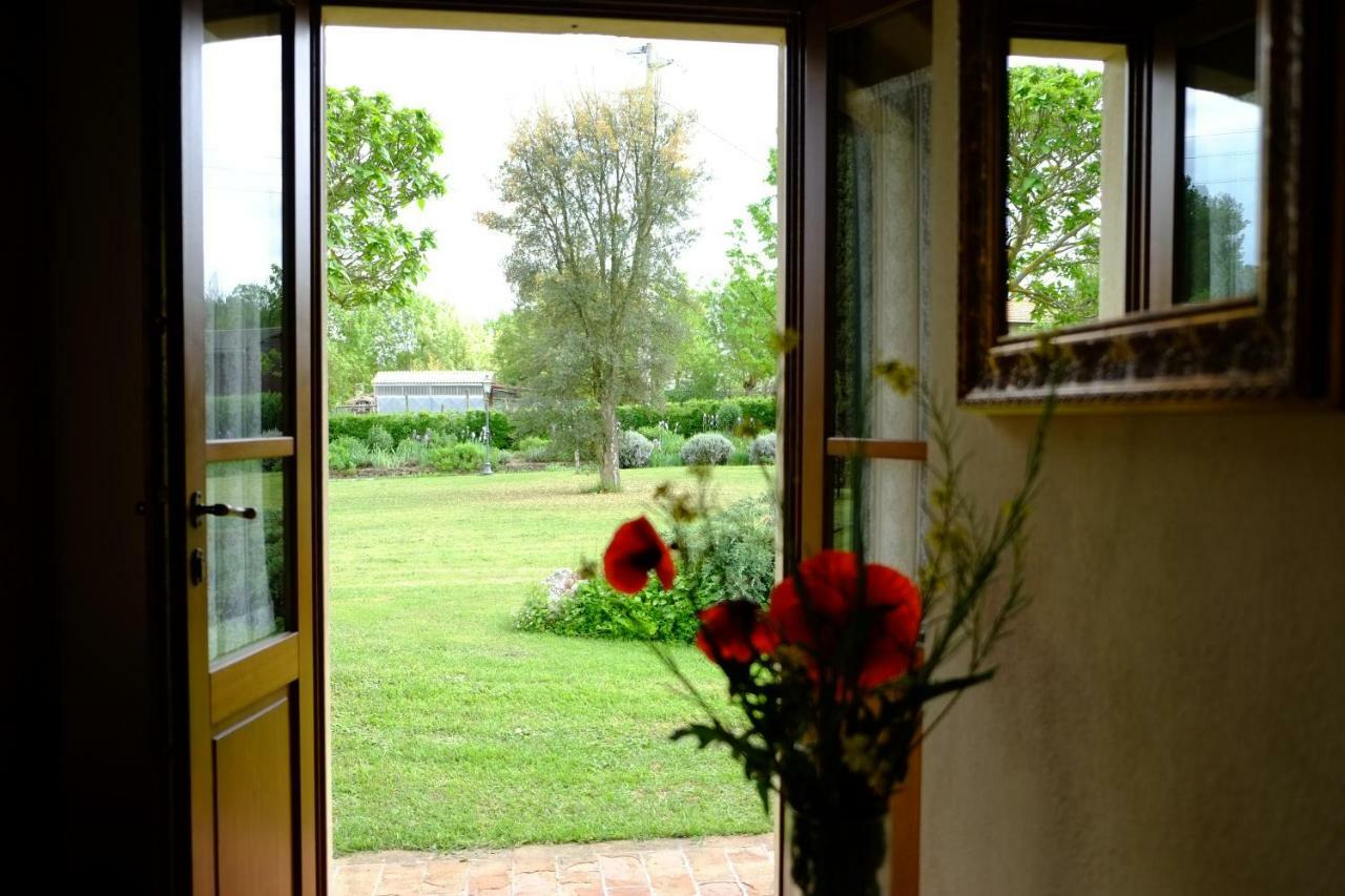 Canto De' Bacci Foiano Della Chiana Exterior foto